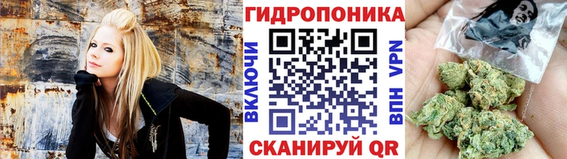 Наркошоп Жиздра Alpha-PVP  МЕФ  Конопля  Псилоцибиновые грибы  COCAIN 