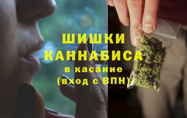 твердый Алзамай