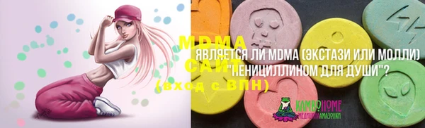 гашик Бикин
