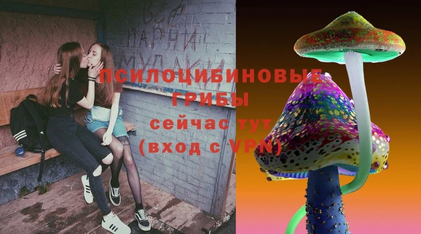 твердый Алзамай
