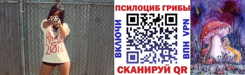 Псилоцибиновые грибы прущие грибы  Жиздра 